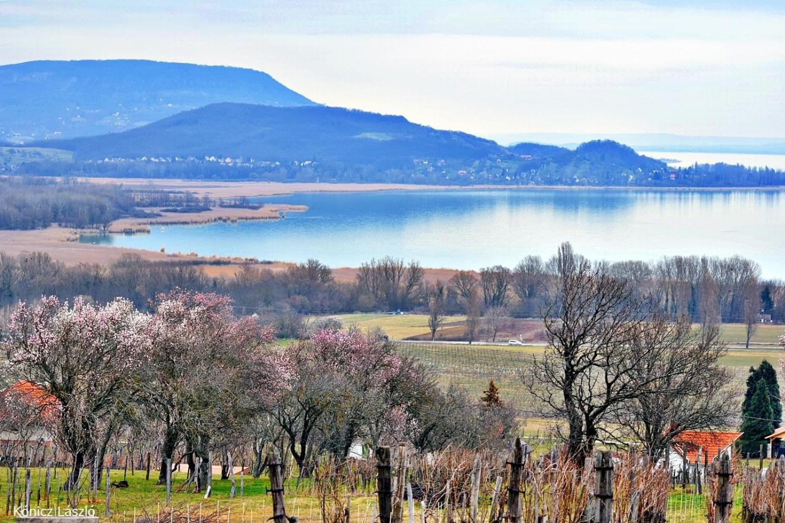 Platan Apartmanhaz Balatongyörök 外观 照片